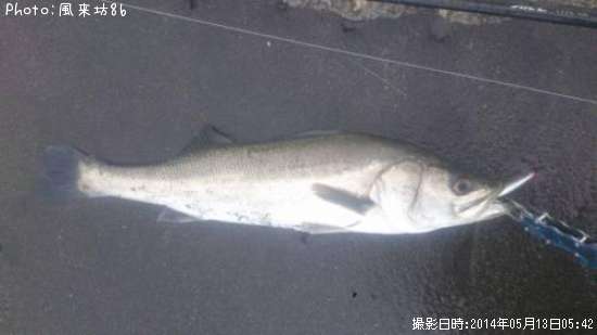 �����ե����Х�