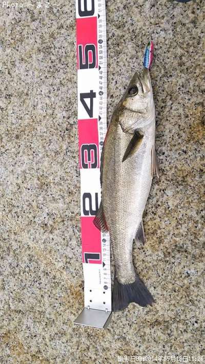 �����Х�