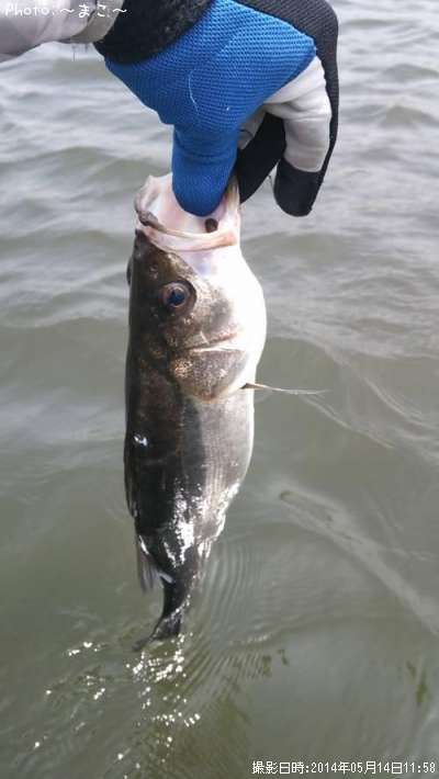 �����Х�