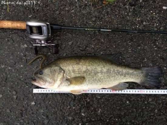 �֥�å��Х�