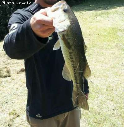 �֥�å��Х�