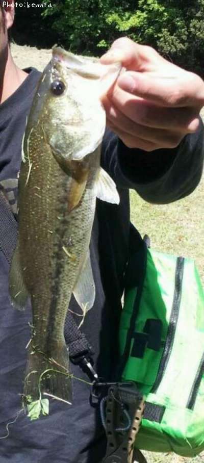 �֥�å��Х�