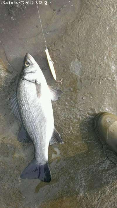 �����Х�