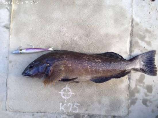 �����ʥ�