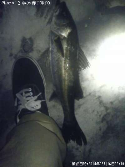 �����Х�