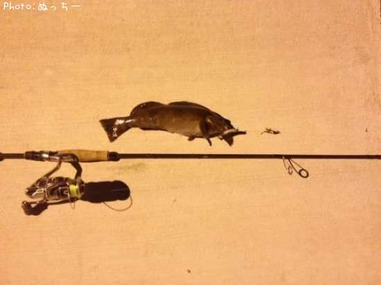 �����ʥ�