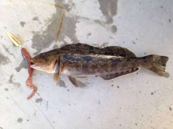 �����ʥ�