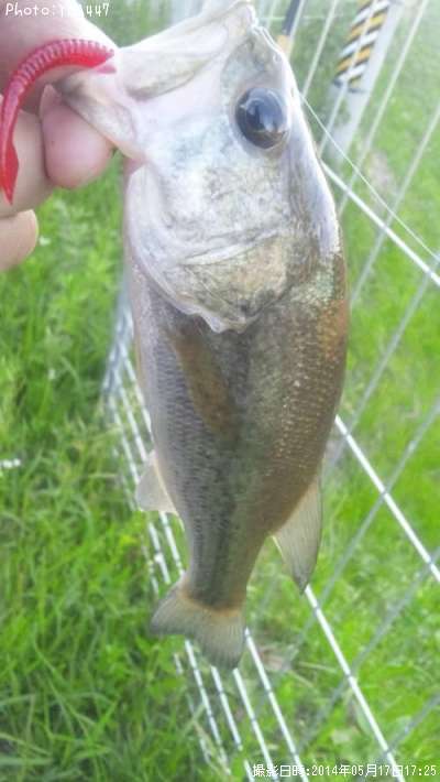 �֥�å��Х�