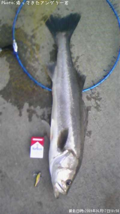 �����Х�