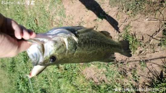 �֥�å��Х�