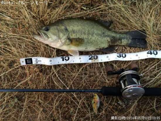 �֥�å��Х�