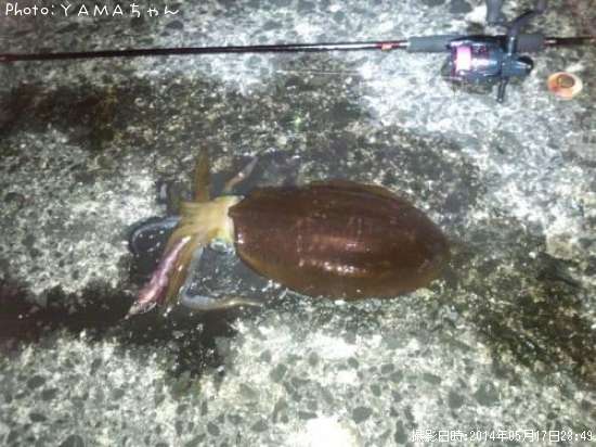 �����ꥤ��