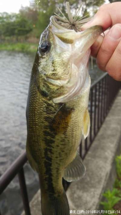 �֥�å��Х�