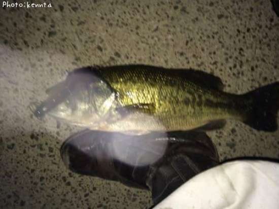 �֥�å��Х�