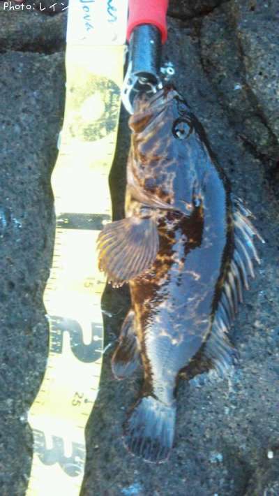 �����Υ���Х�