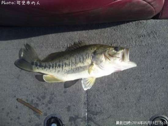 �֥�å��Х�