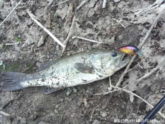 �֥�å��Х�