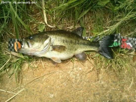 �顼���ޥ����Х�