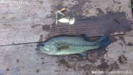 �֥�å��Х�