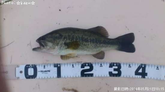 �֥�å��Х�