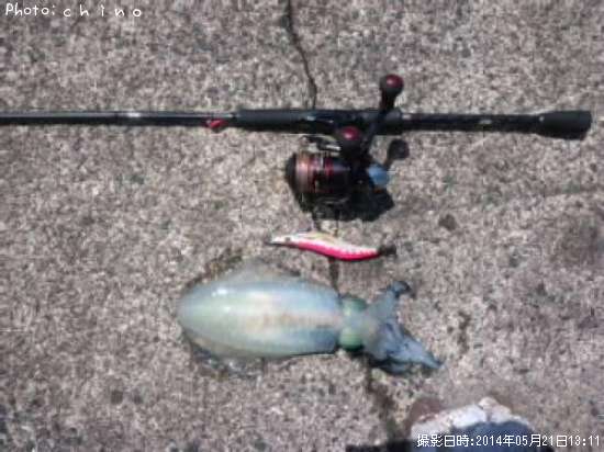 �����ꥤ��