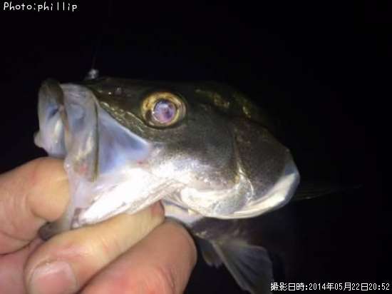 �����Х�