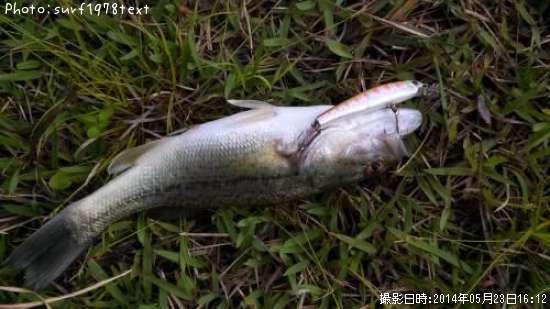 �֥�å��Х�