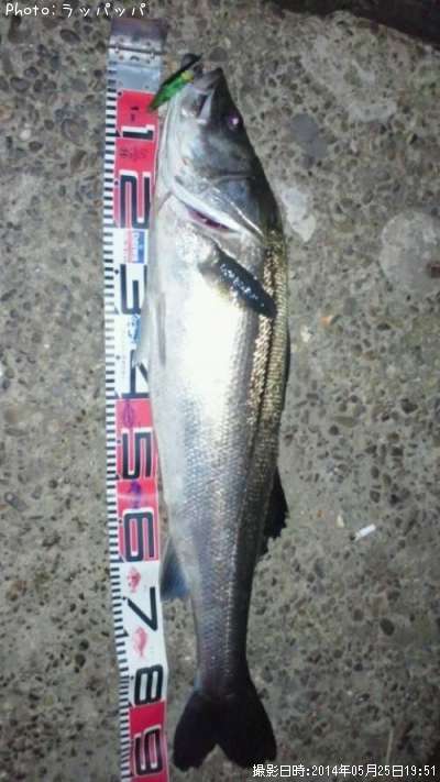 �����Х�