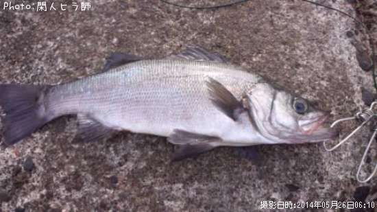 �ҥ饹����