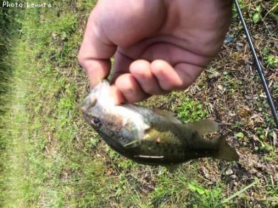 �֥�å��Х�