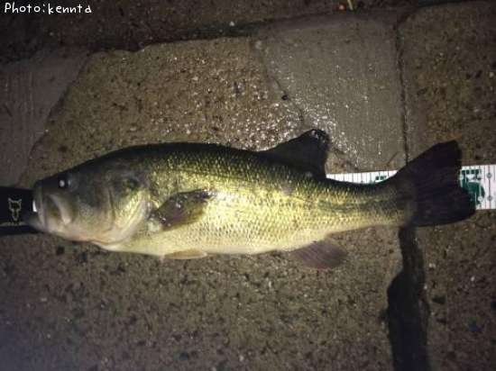 �֥�å��Х�