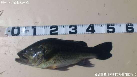 �֥�å��Х�