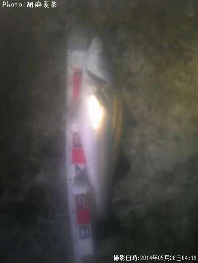 �����Х�