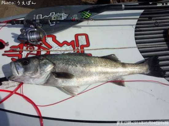 �����Х�