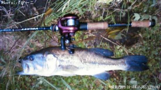 �֥�å��Х�