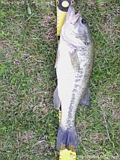 �֥�å��Х�