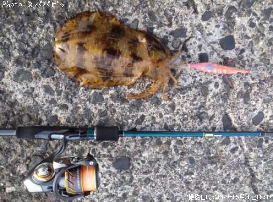 �����ꥤ��