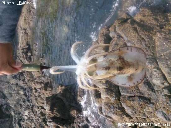 �����ꥤ��