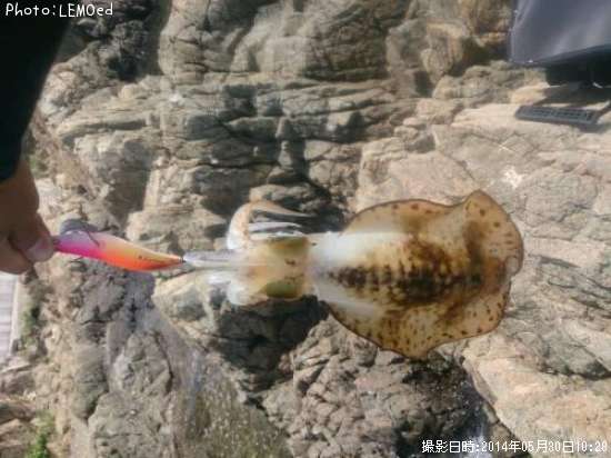 �����ꥤ��