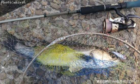 �����Х�