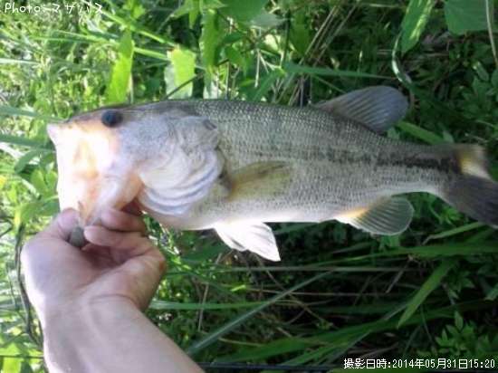 �֥�å��Х�