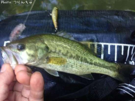 �֥�å��Х�