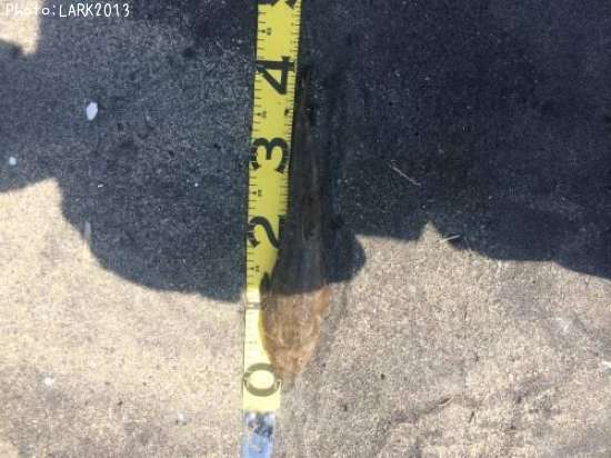 �ޥ���