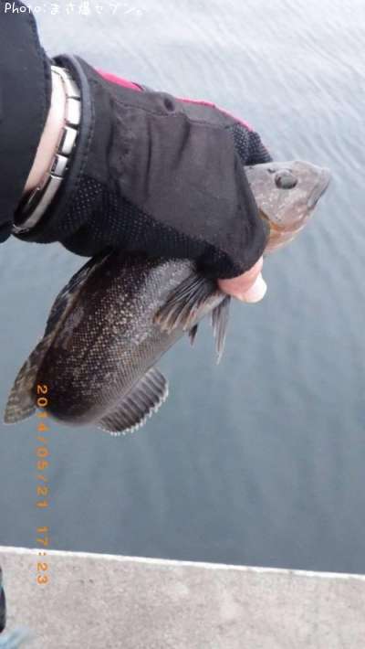 �����ʥ�