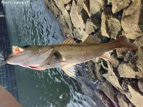 �����Х�