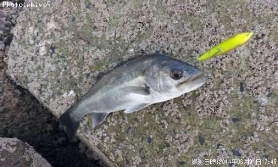 �����Х�