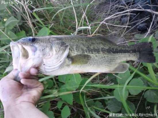 �֥�å��Х�