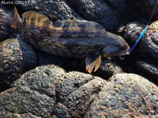 �����ʥ�