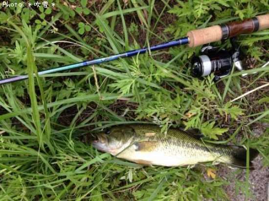 �֥�å��Х�