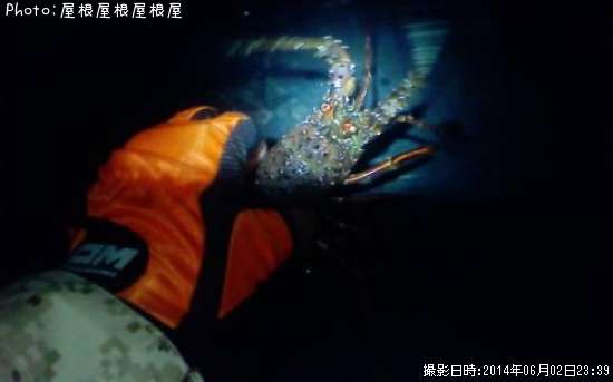 ������Ϸ